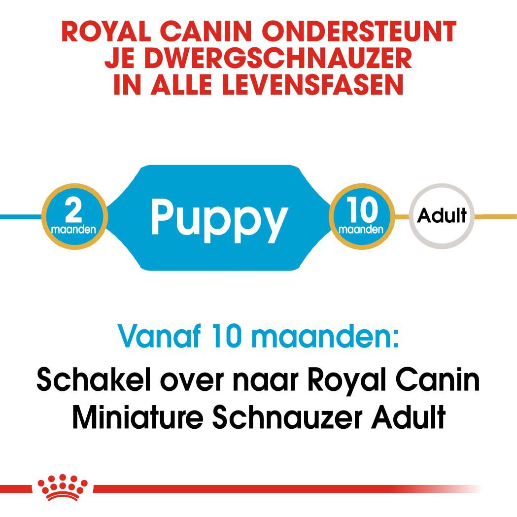 Royal Canin Mini Schnauzer Junior - Hondenvoer - 1.5 Kilogram - gevogelte