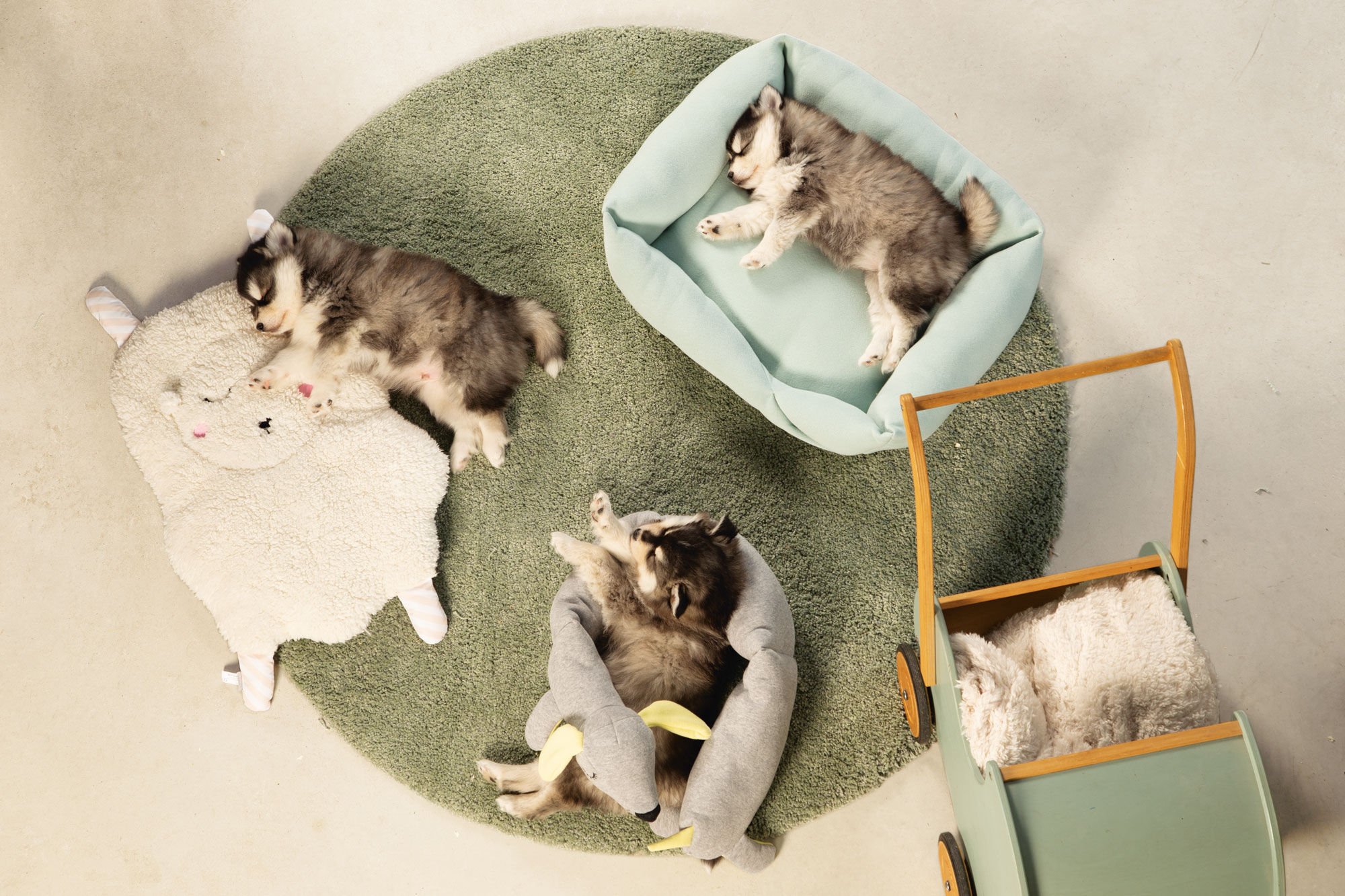 Beeztees Sjiepo Geurlap Knuffel - Puppyspeelgoed - wit - 40x23x5 cm