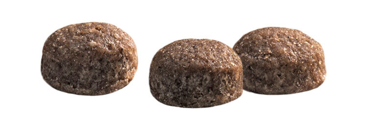 Prins Protection Croque Mini Senior Fit - Hondenvoer - 2 Kilogram - kip