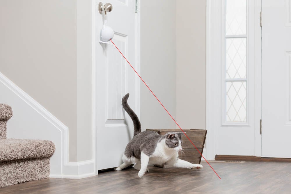 Petsafe Dancing Dot - Laserlamp