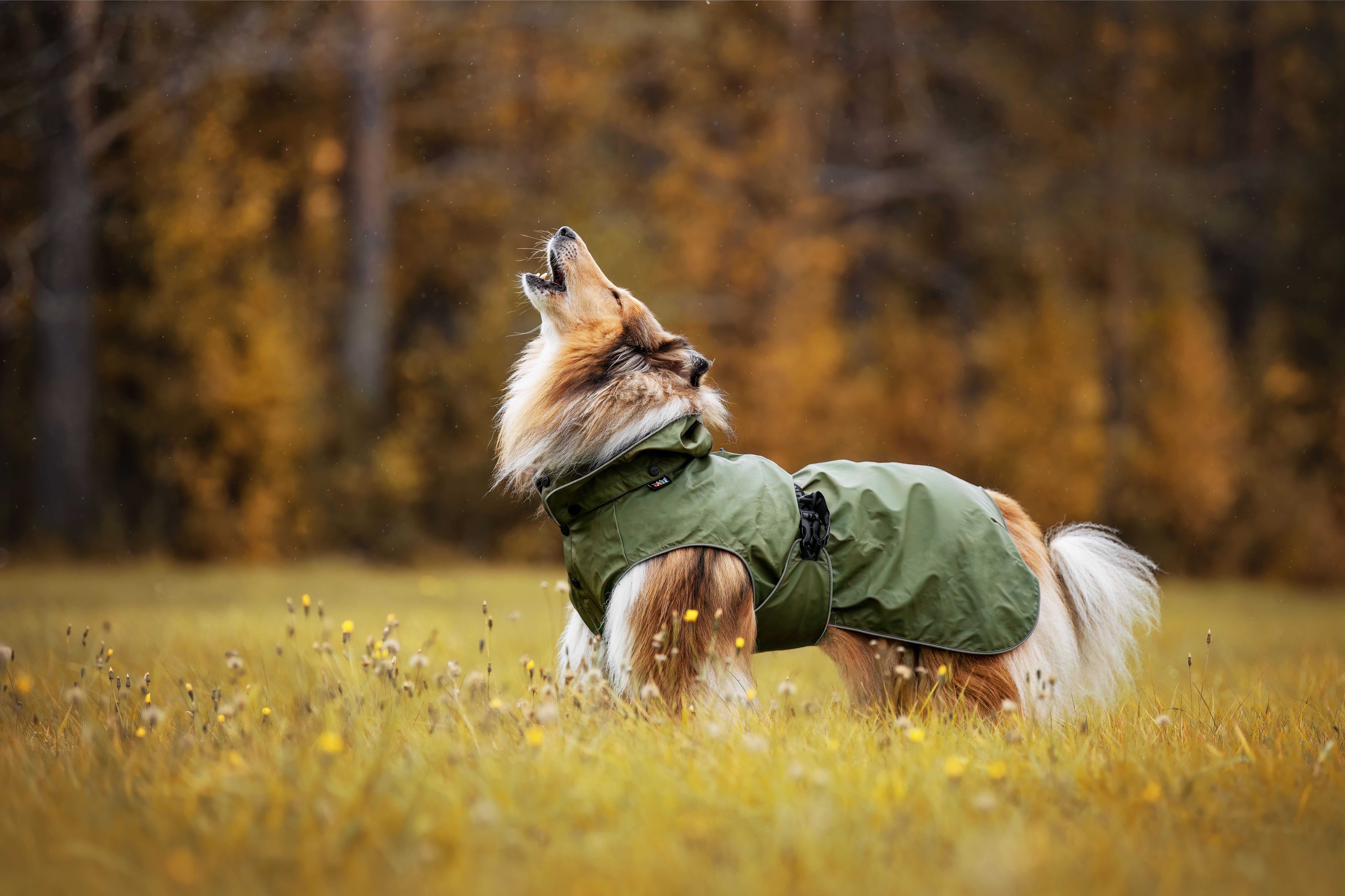 Rukka Streamy - Honden Regenjas - Groen - 35 cm