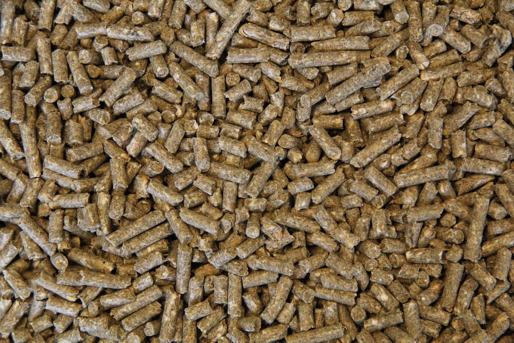 Voermeesters Veulen - Fokkerij - 20 Kilogram - Zak