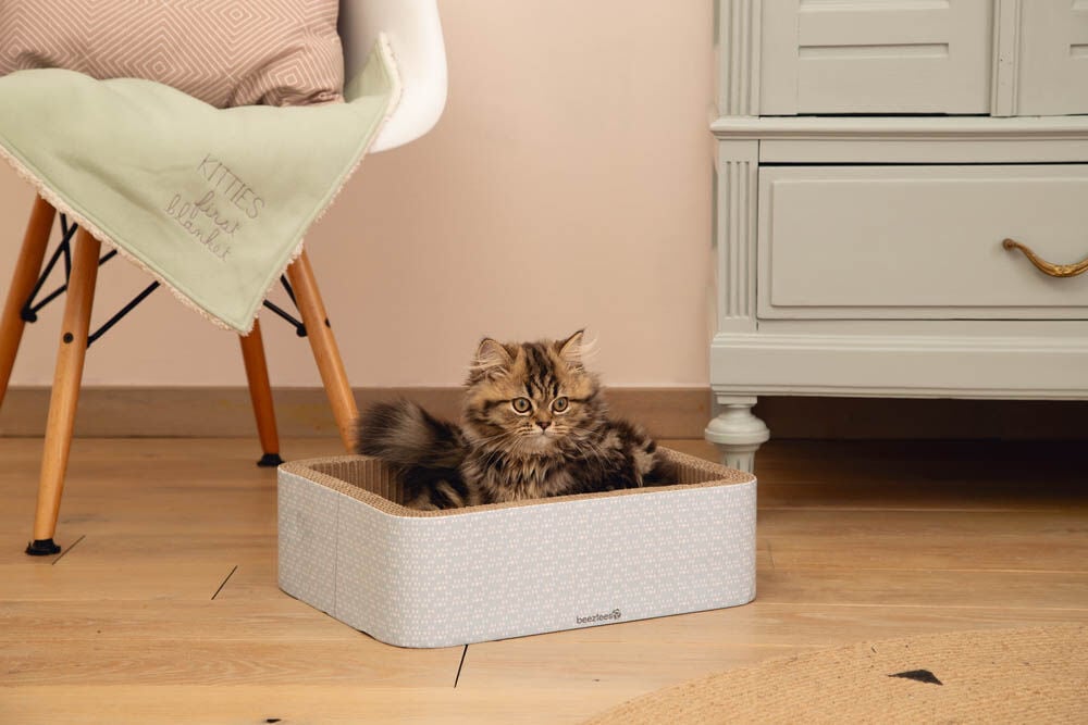 Beeztees Kero - Krabkarton - Blauw - 1x40x1 cm