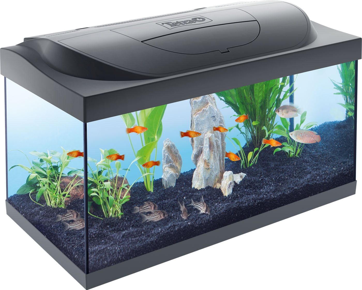 Tetra Starter line - Aquarium - 32x36x61 cm