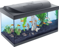 Tetra Starter line - Aquarium - 32x36x61 cm