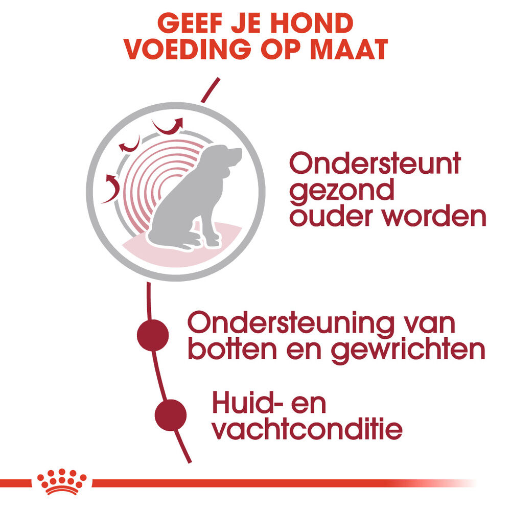 Royal Canin Medium Ageing - Hondenvoer - 1400 Gram - gevogelte