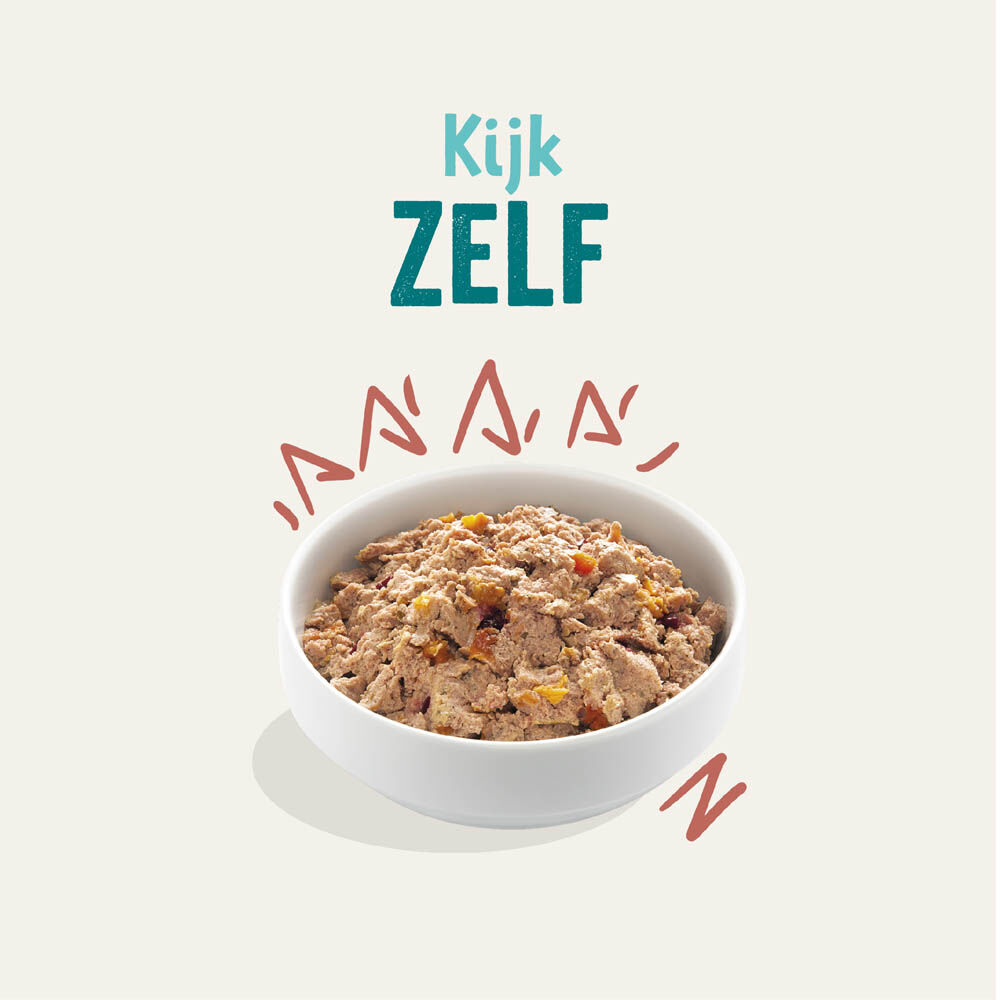 Edgard & Cooper Senior - Hondenvoer - 150 Gram - zalm, kip