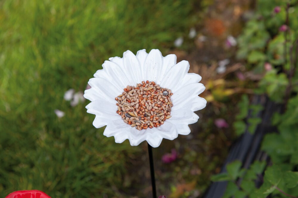 Bird Gift Margriet -Voederschaal op steker