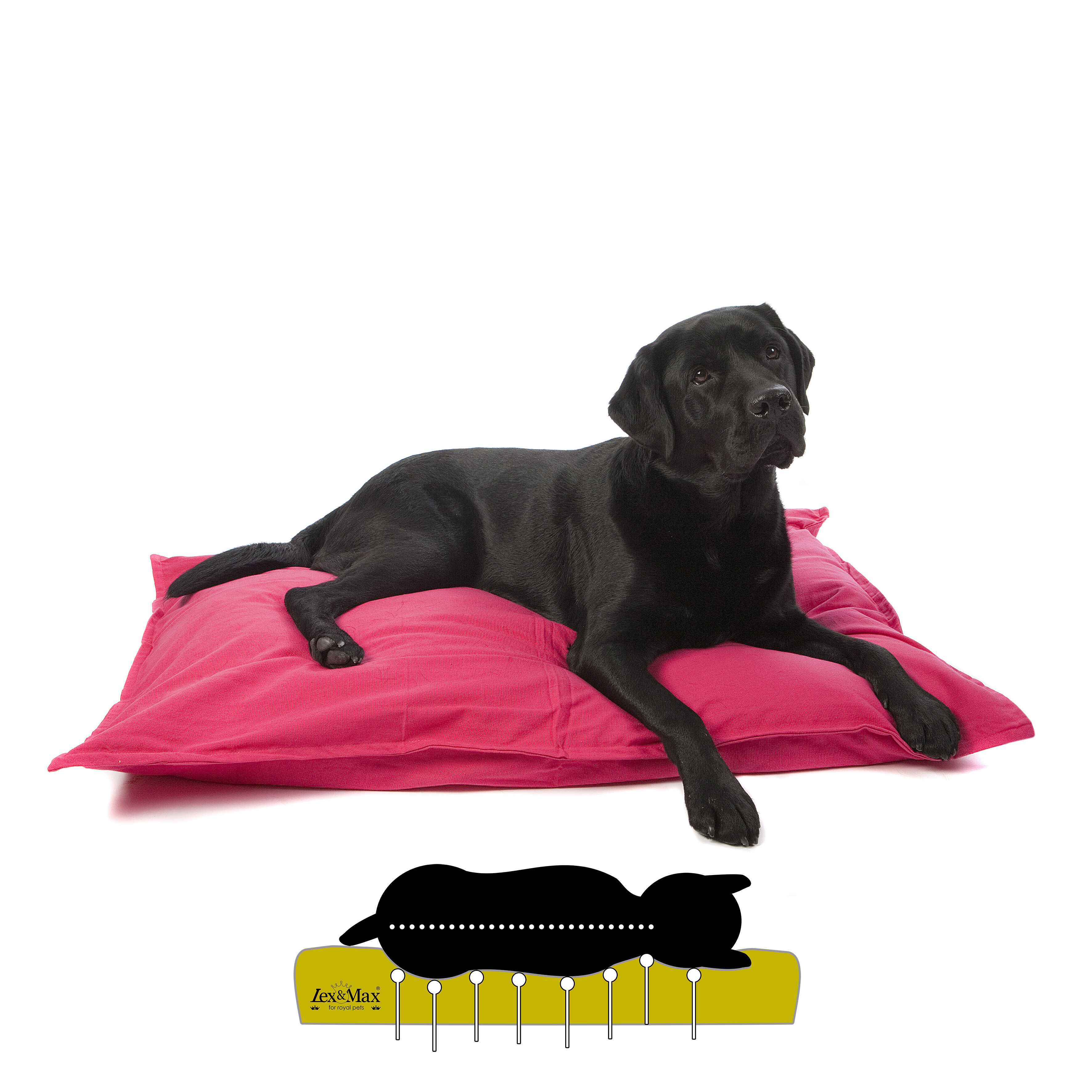 Lex & Max Tivoli - Orthopedisch Hondenkussen - Fuchsia - 70x100x16 cm - L