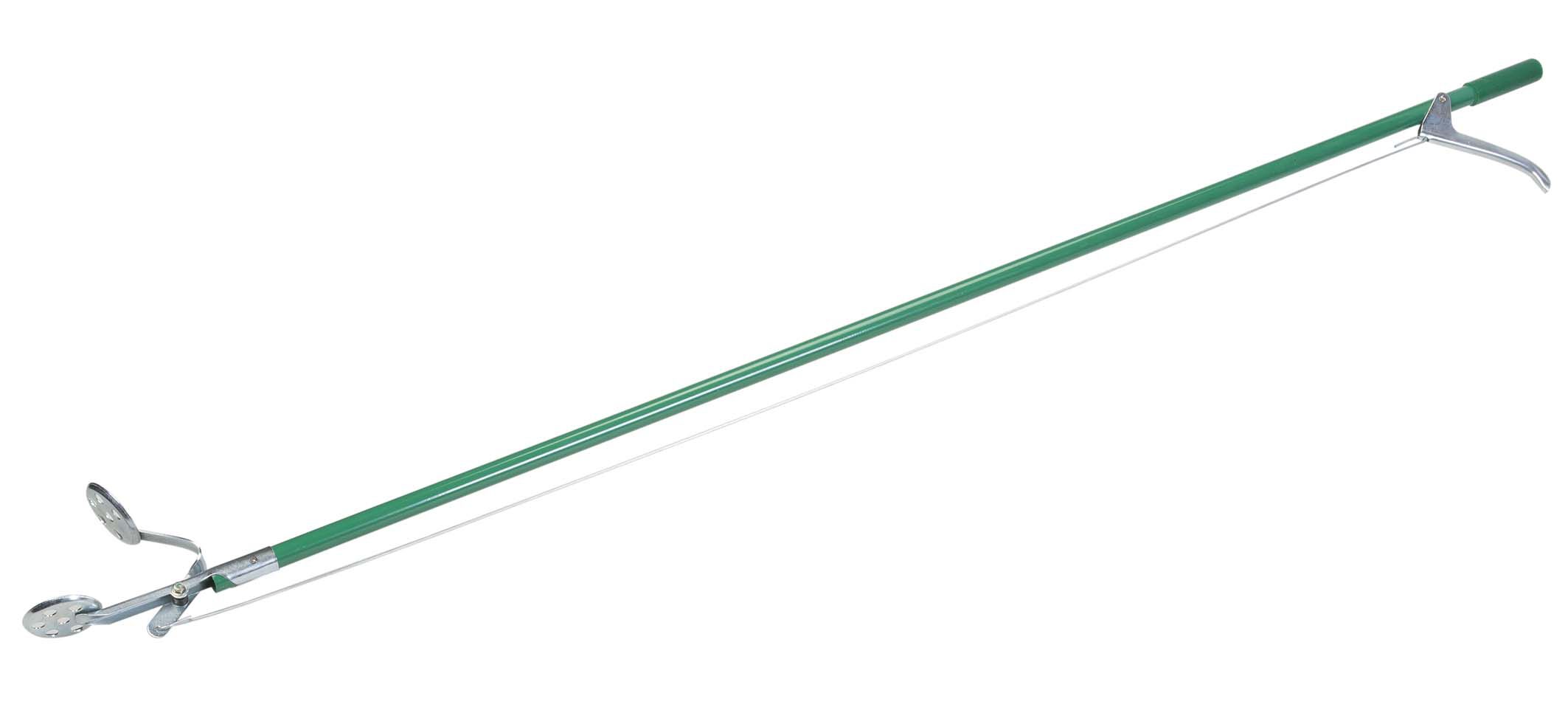 Vt - Vijvertang Vt - Vijvertang