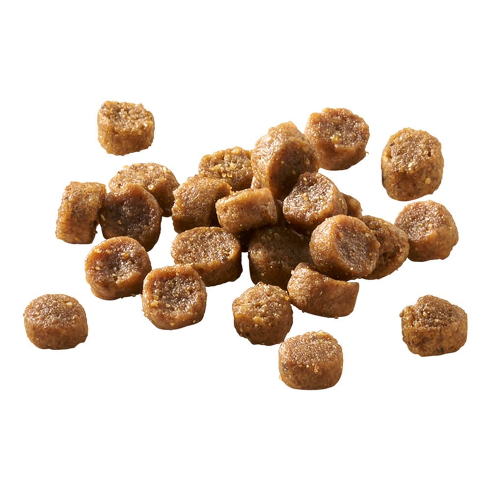 Welkoop Kitten brokjes - Kattenvoer - 4 Kilogram - gevogelte