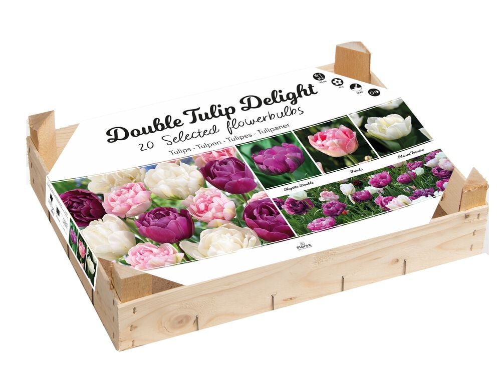 Florex Tulpen Bloembollen mix - in Kistje