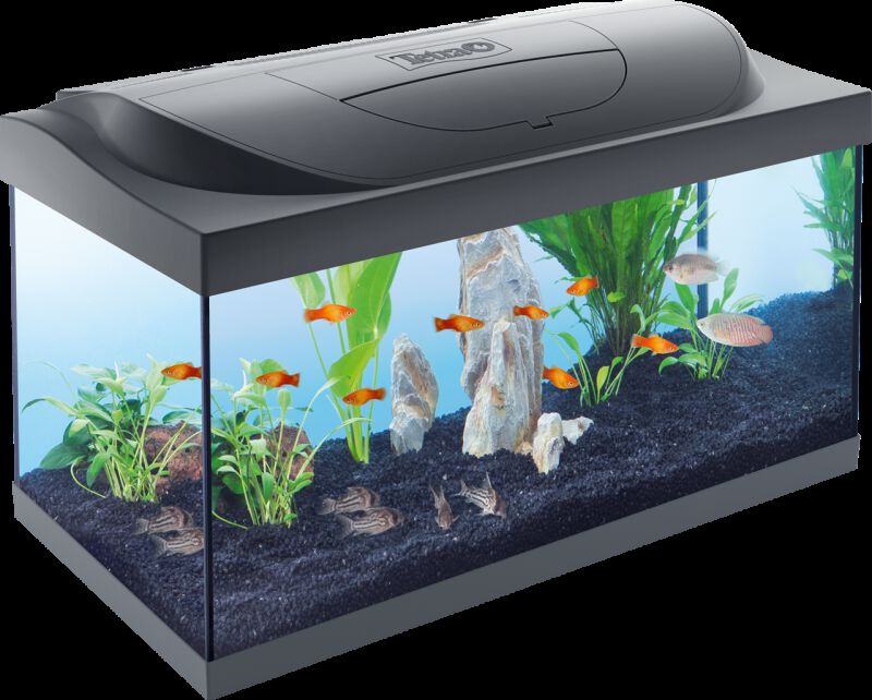Tetra Starter line - Aquarium - 32x36x61 cm