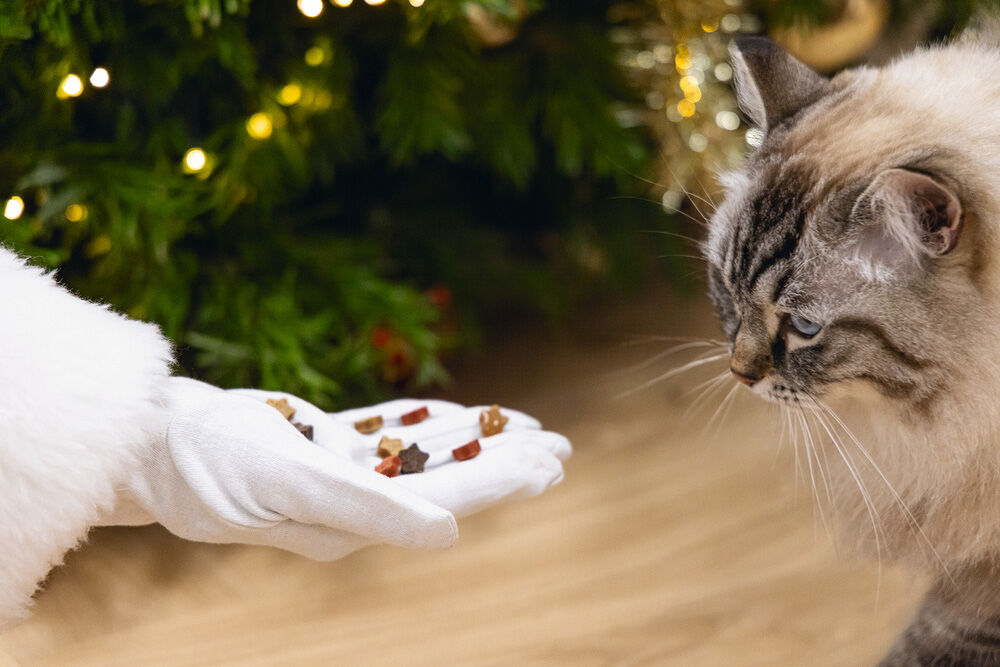 Beeztees Star Mix Granen - Kattensnack - 140 Gram - grill