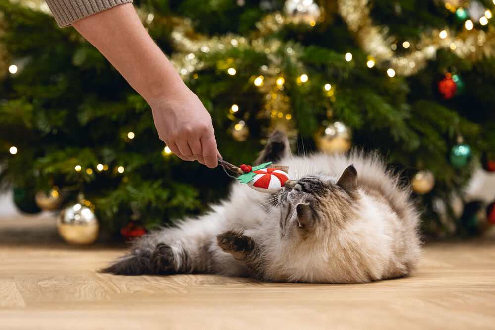 Beeztees Kerstlolly Matatabi - Kattenspeeltje - Multi - 14 cm