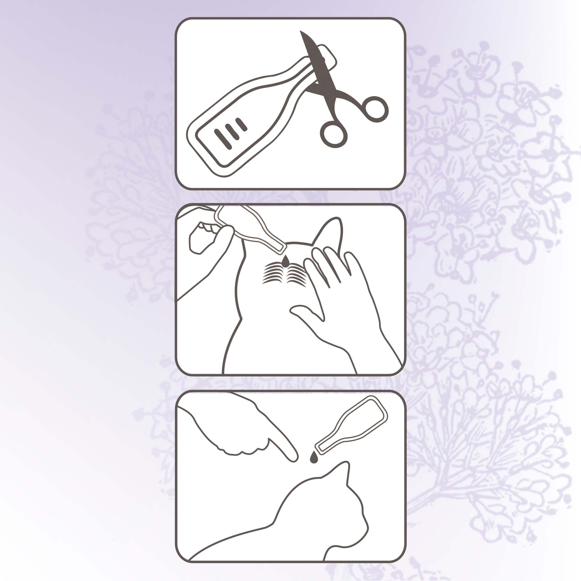 Beaphar No Stress Kat  - Kalmeringsmiddel - 3 Stuks