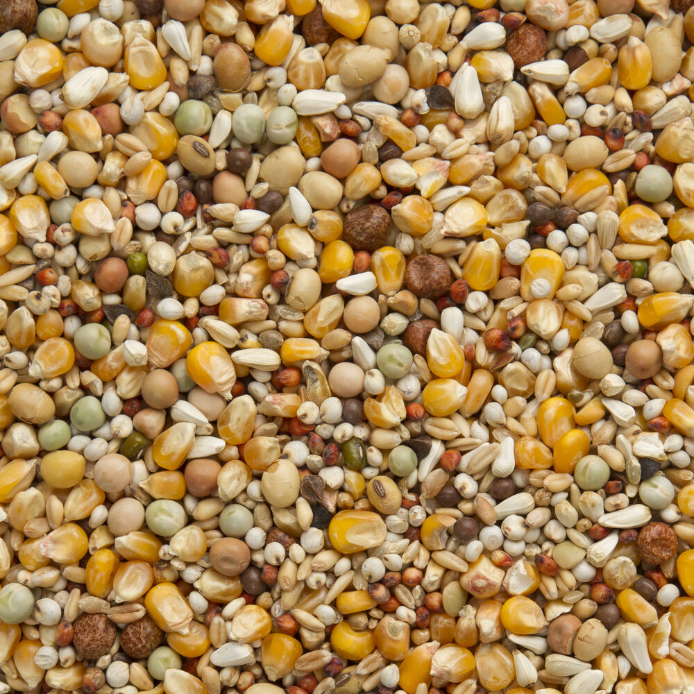 Beyers Premium Super Weduwschap - Duivenvoer - 20 Kilogram