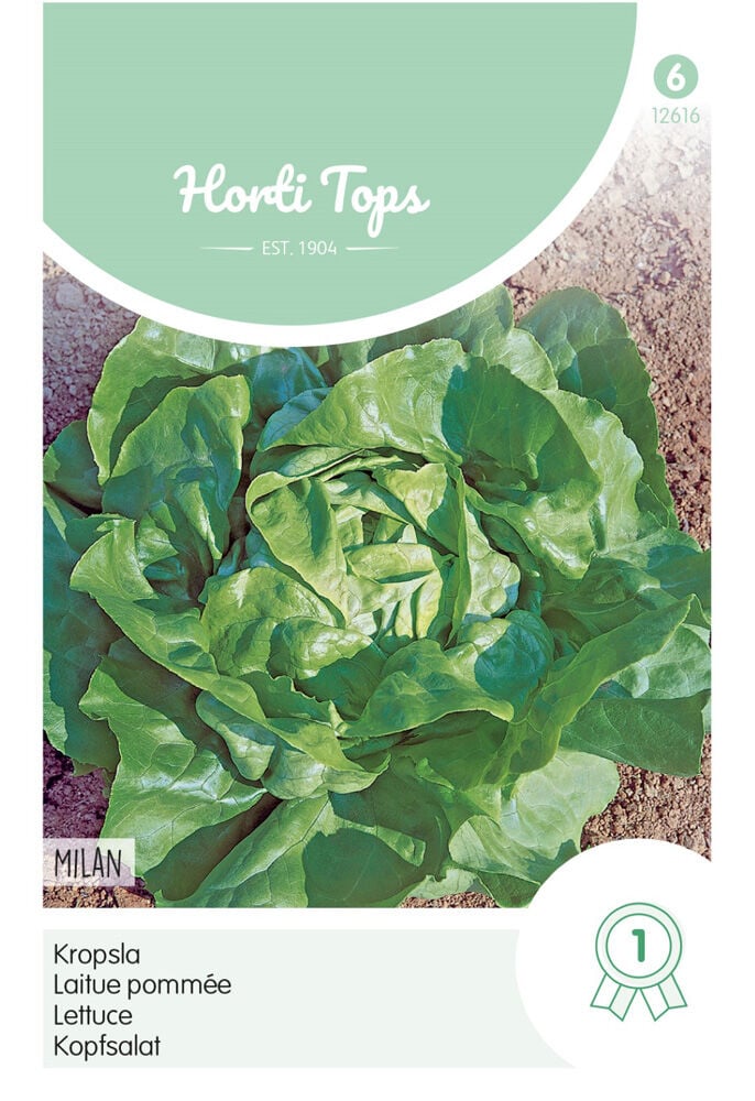 Hortitops Kropsla Lactuca sativa Milan - Sla