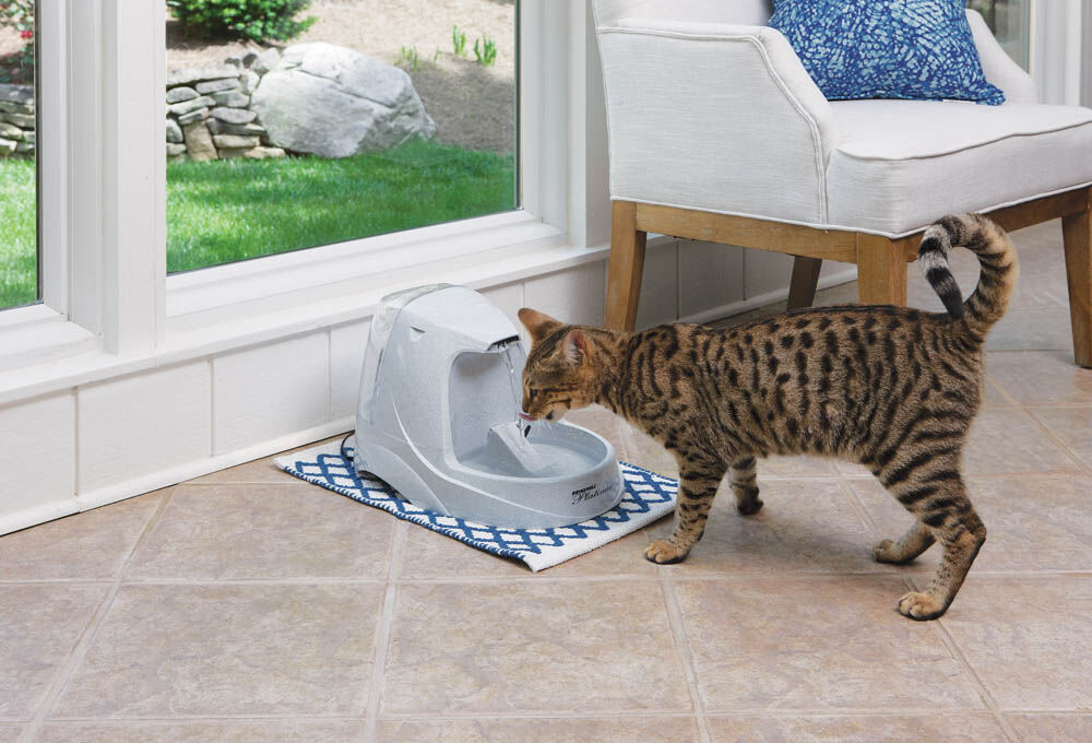 Petsafe Platinum - Drinkfontein - Multi - 40x27x27 cm