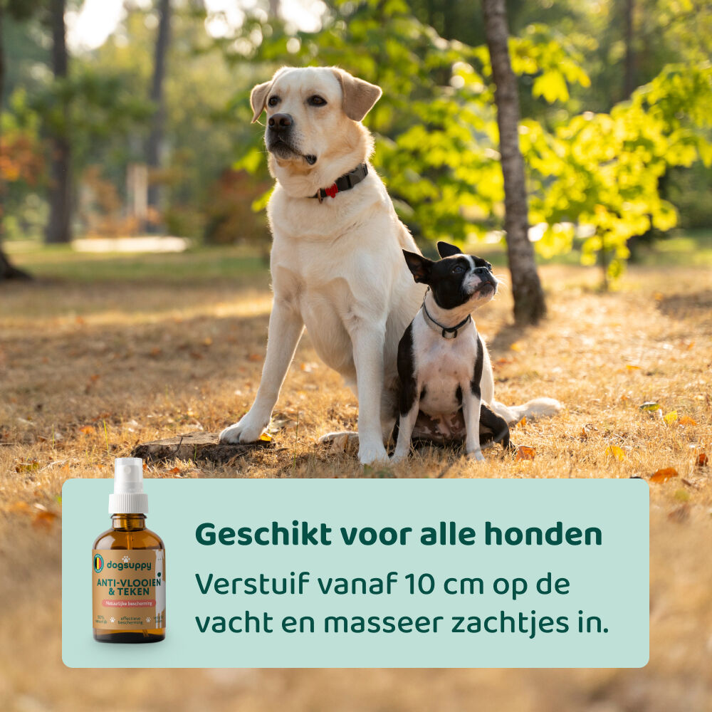 Dogsuppy Anti-Parasiet Spray - Anti Vlooien en teken Hond - 100 Milliliter