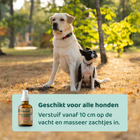Dogsuppy Anti-Parasiet Spray - Anti Vlooien en teken Hond - 100 Milliliter