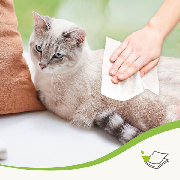 Beaphar Sensitive - Dierendoekjes - 294 Gram