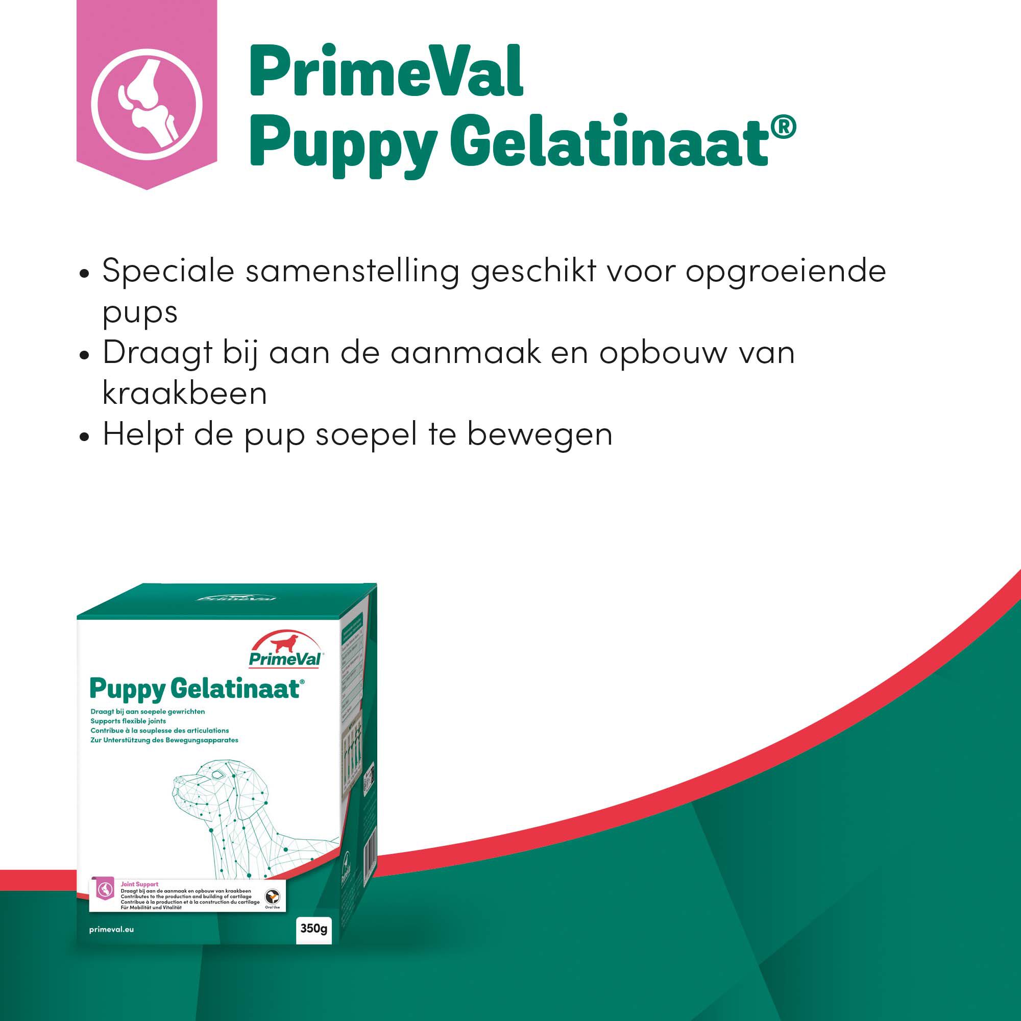 Primeval Gelatinaat Puppy - Voedingssupplement - 350 Gram