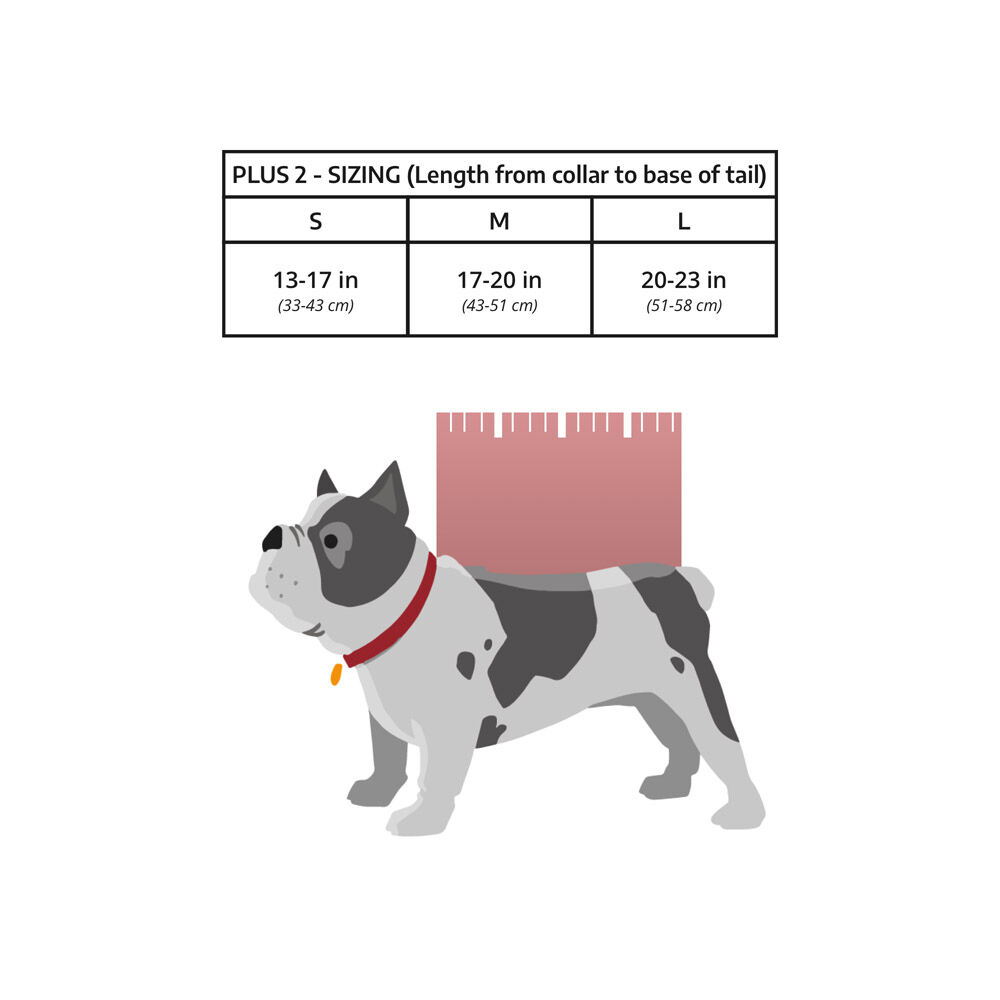 K9 Sport Sack Plus 2 - Hondenrugzak - Mint - xx cm - Large