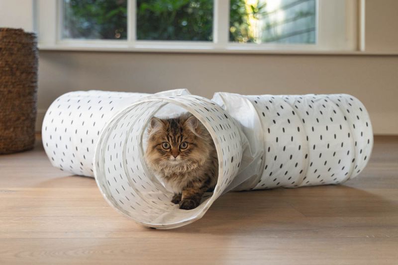 Beeztees Leo - Kattentunnel - Wit