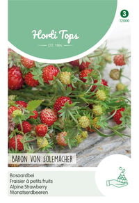 Hortitops Aardbeien Fragaria vesca Baron Van Solemacher (Rügen) - Fruitzaden