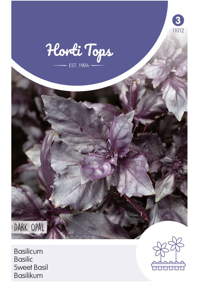 Hortitops Basilicum Ocimum basilicum purpurascens Rode - Dark Opal - Kruidenzaden