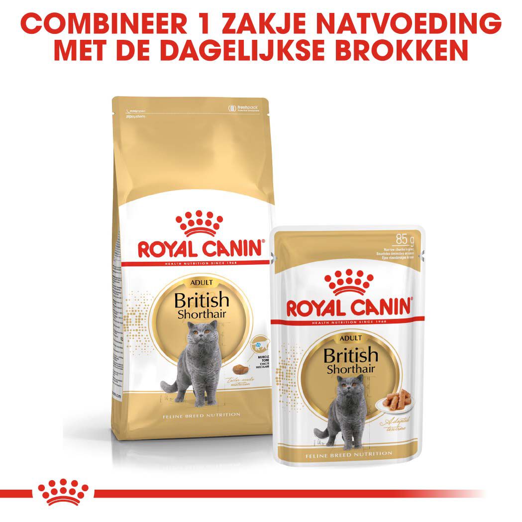 Royal Canin Britse Korthaar Adult - Kattenvoer - 10 Kilogram - Gevogelte