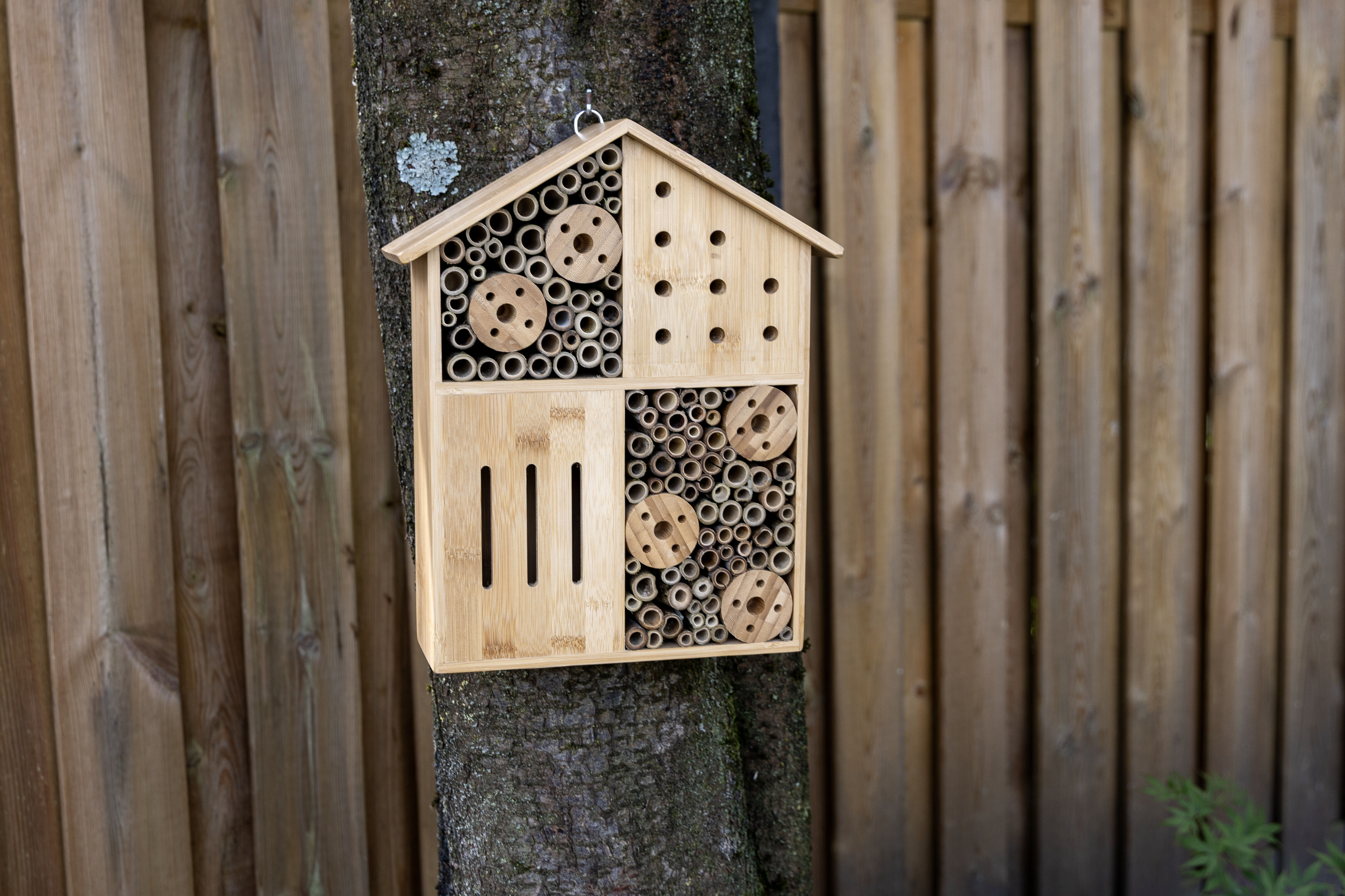 CJ Wildlife - Asago - Insectenhotel - Bruin