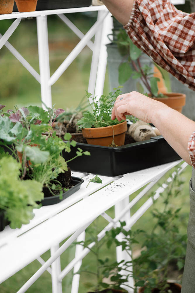 Royal Well Mary III - Kweektafel - Wit - 2.5x42.5x347 cm Royal Well Mary III - Kweektafel - Wit - 2.5x42.5x347 cm