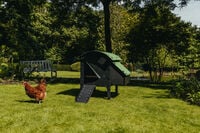 Nestera Lodge - Kippenhok - 4 tot 6 kippen - Zwart/Groen - Rechts - M