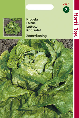 Horti Tops Kagraner Sommer 2 - Kropsla