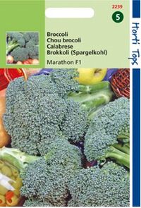 Hortitops Broccoli Brassica oleracea Marathon F1 - Groentezaden