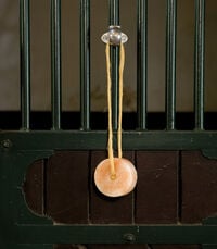 Ophanghaak voor Hooinet - 7.5x5.5x7 cm