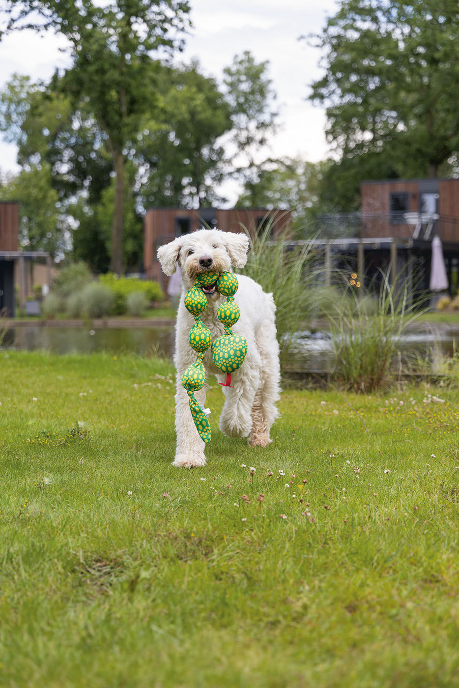 Beeztees Slang Ballo - Apporteerspeelgoed Hond - Groen - 6.5x10x80 cm