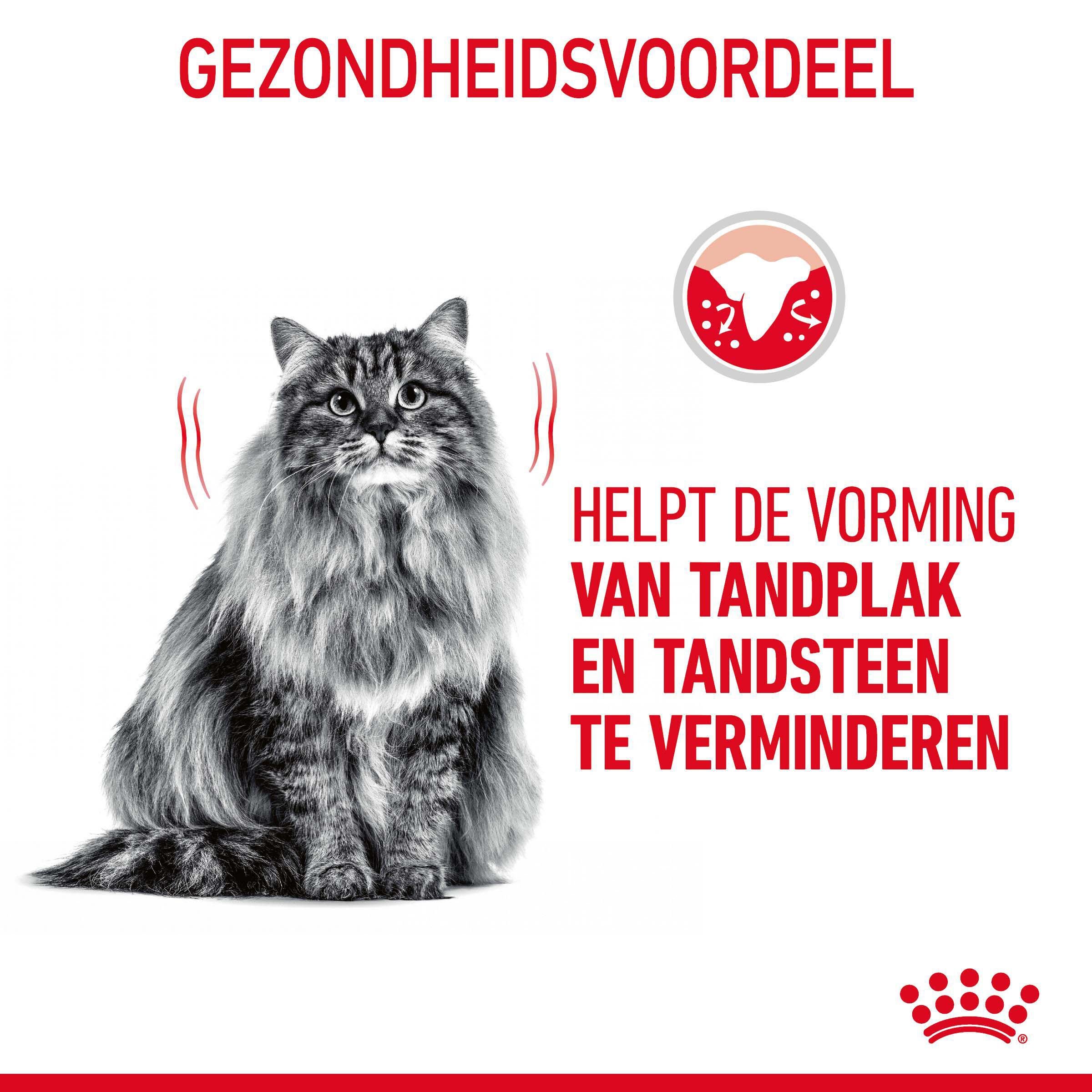 Royal Canin Oral Care - Kattenvoer - 8000 Gram - Gevogelte