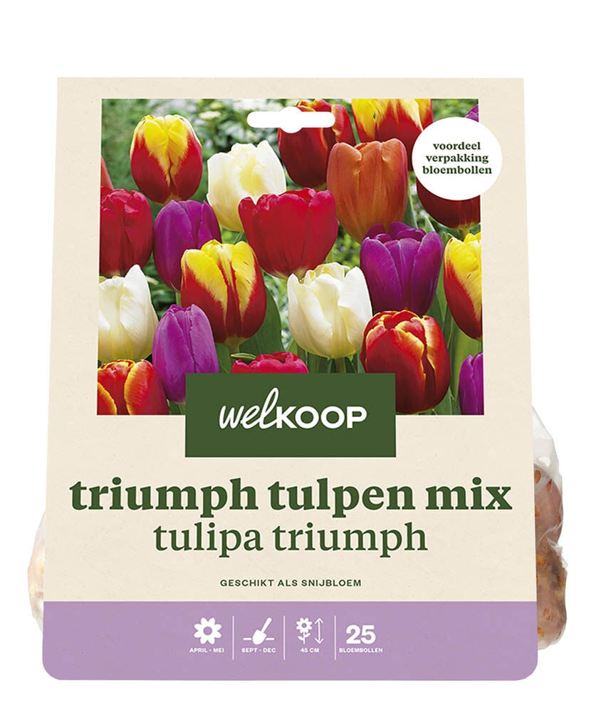 Welkoop Tulpen mix Lot - Bloembollen