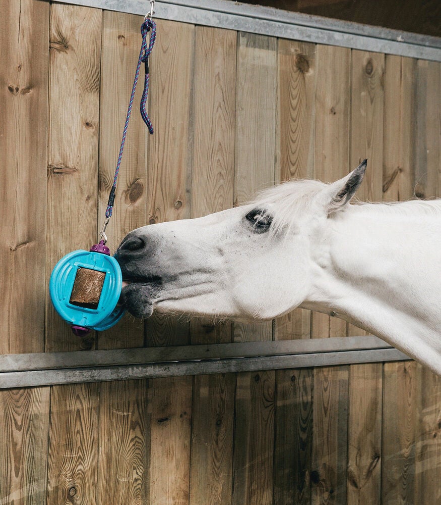 Bizzy Ball - Liksteenhouder - Aqua