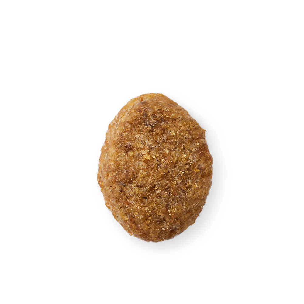 Yarrah Senior Biologisch - Hondenvoer - 10 Kilogram - kip