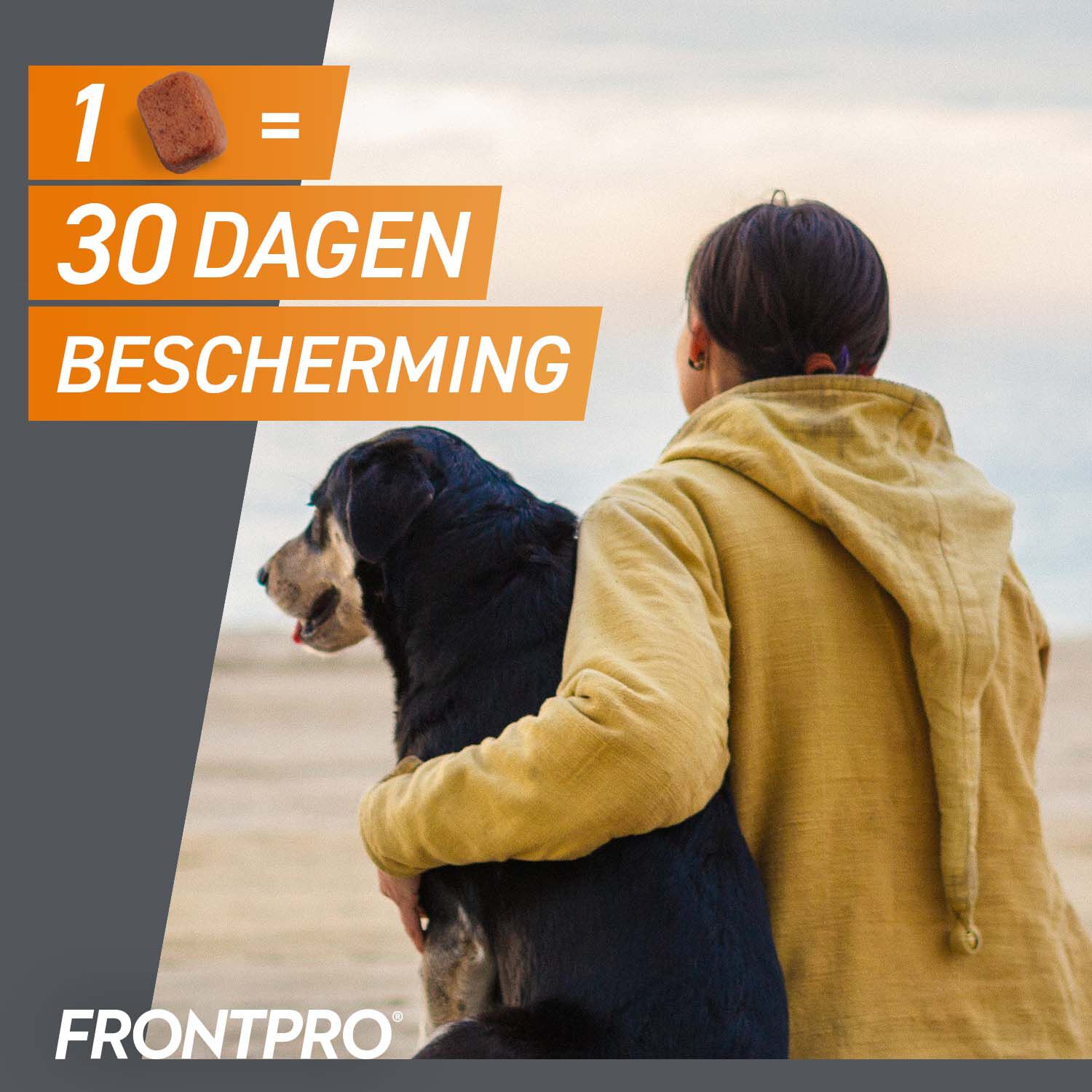 Frontpro Kauwtablet - Anti Vlooien en teken Hond - S - 3 Stuks - S