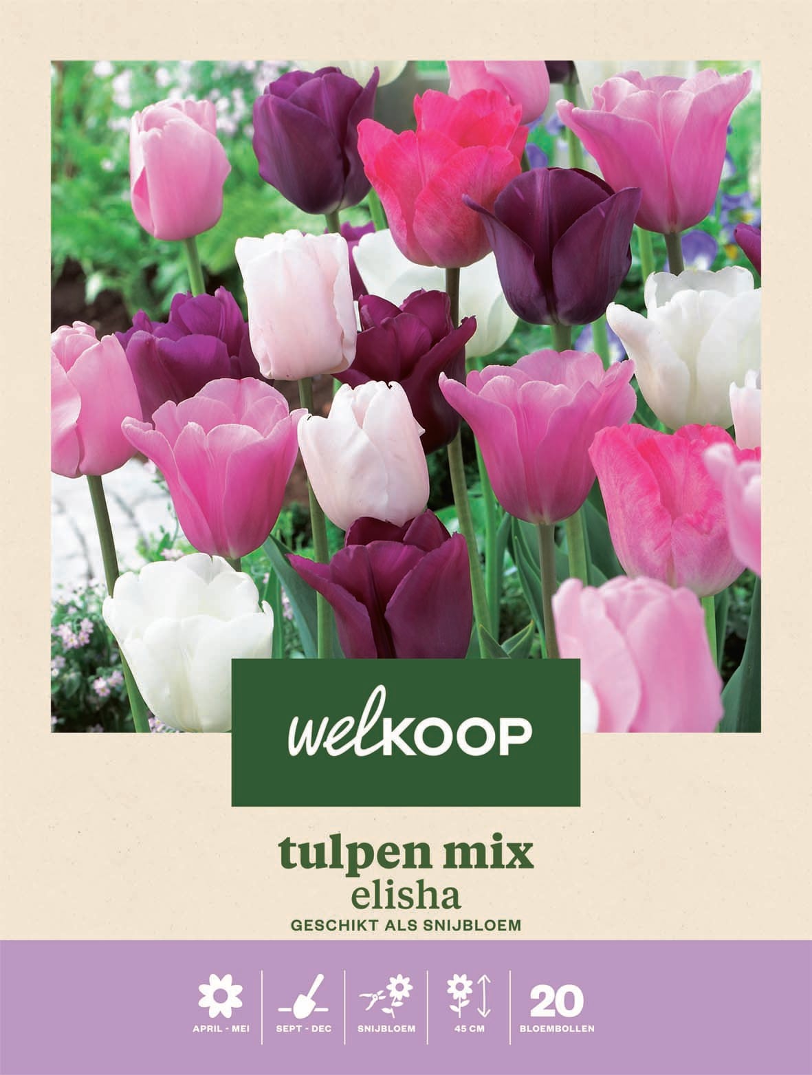 Welkoop Tulpen mix Elisha - Bloembollen Welkoop Tulpen mix Elisha - Bloembollen