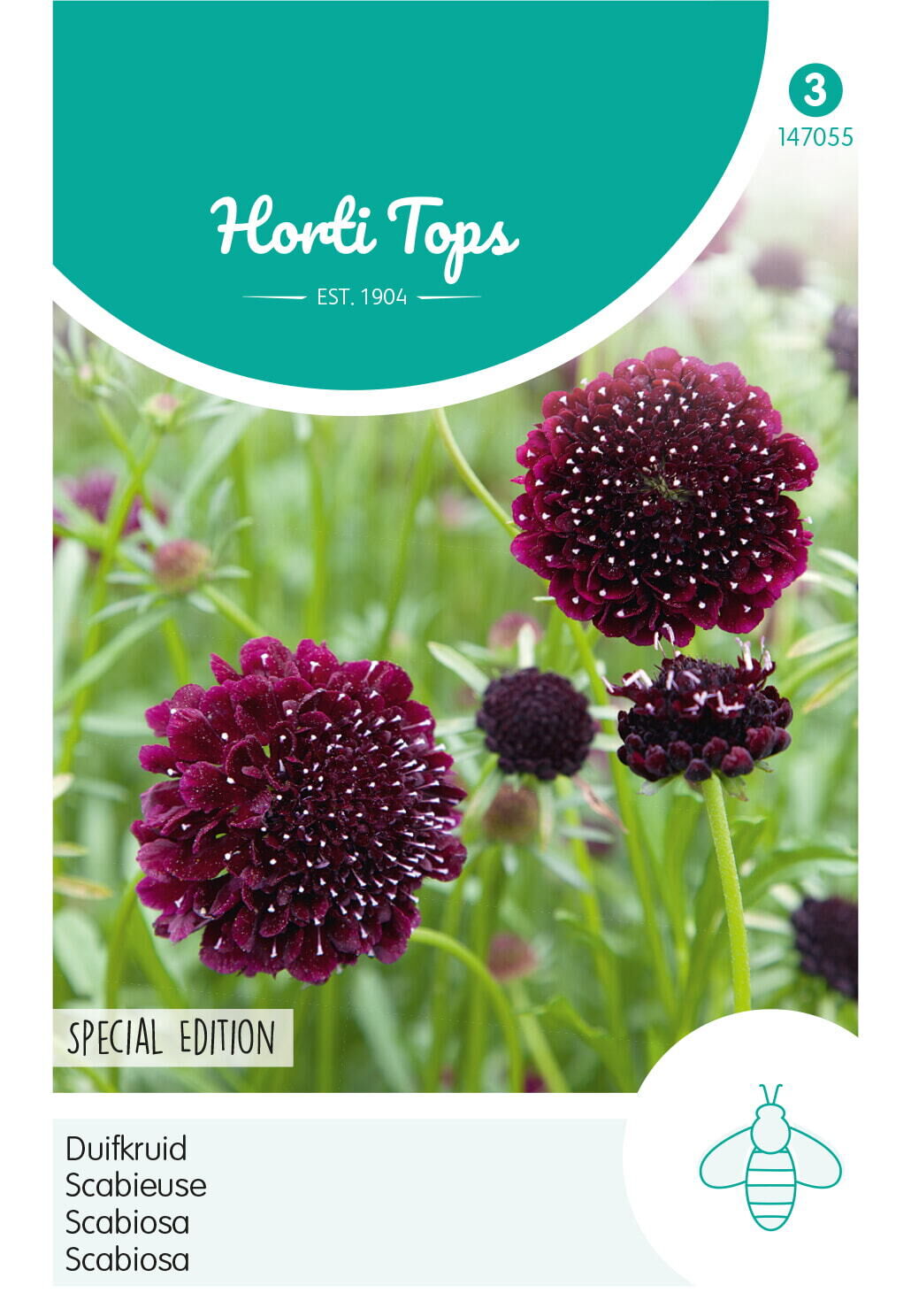Hortitops Duifkruid Sweet paars Scabiosa atropurpurea - Bloemzaden Hortitops Duifkruid Sweet paars Scabiosa atropurpurea - Bloemzaden