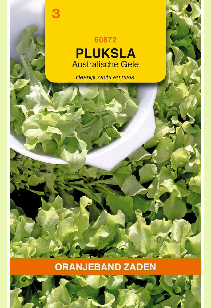 Oranjeband zaden Pluksla Australische Gele - Groentezaden