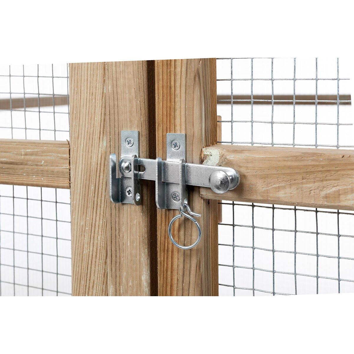 Glorenza - Volière - Naturel - Rechts