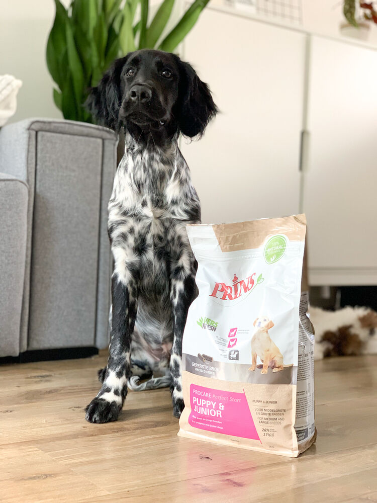 Prins Opgroeibox ProCare Puppy & Junior Perfect Start - Hondenvoer - kip, kalkoen