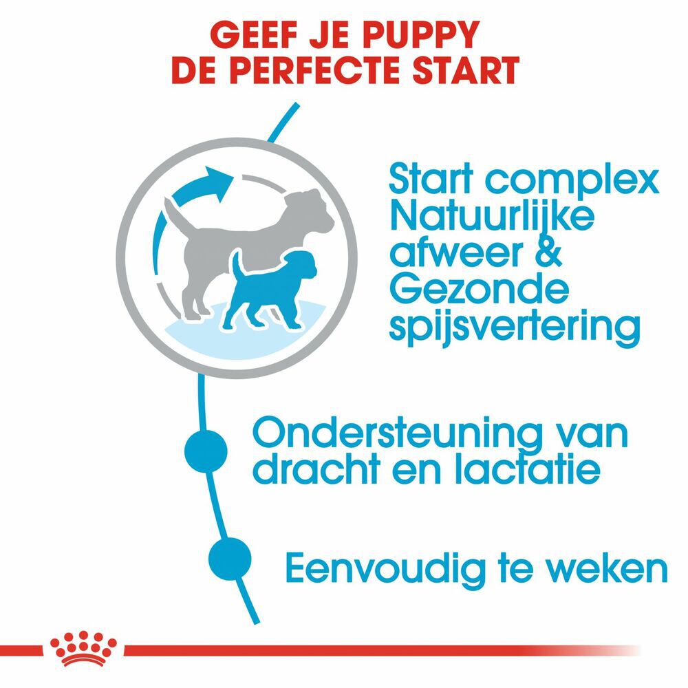 Royal Canin SHN Mini Start Babydog - Hondenvoer - 8 Kilogram - gevogelte